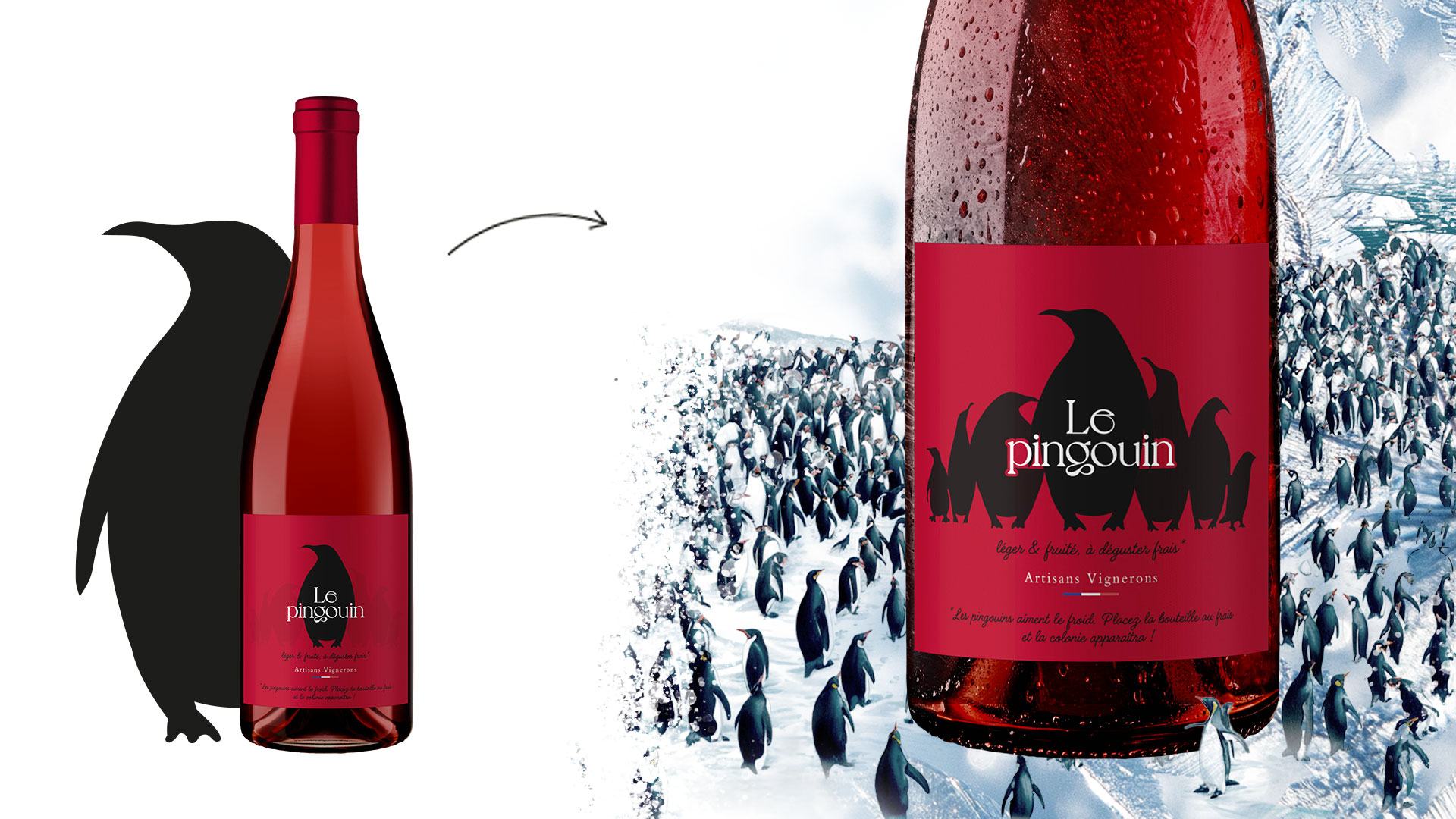 Les Artisans Vignerons ont créé 2 pépites, 2 vins rouges légers : Le Pingouin 🐧 et Rouge Frisson 🐱